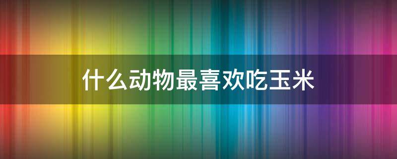 什么动物最喜欢吃玉米（什么动物最喜欢吃玉米叶呢）