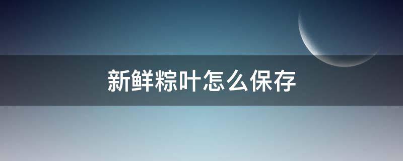 新鲜粽叶怎么保存