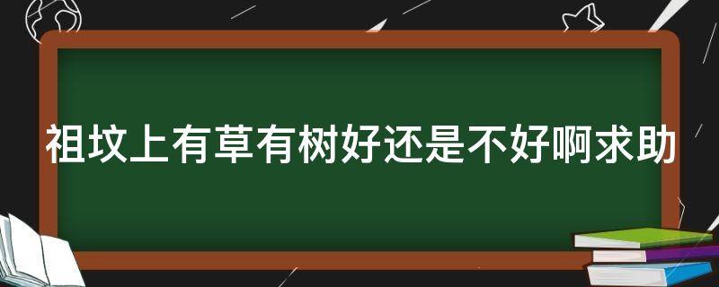 祖坟上有草有树好还是不好啊求助