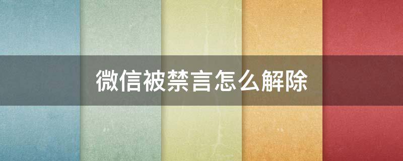 微信被禁言怎么解除（微信被禁言怎么解除禁言）