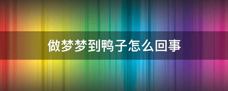 做梦梦到鸭子怎么回事 做梦梦到鸭子是什么意思啊