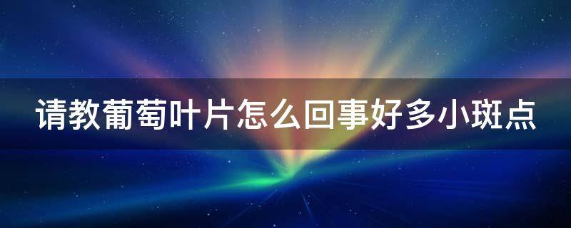 请教葡萄叶片怎么回事好多小斑点 葡萄叶子长斑是怎么回事