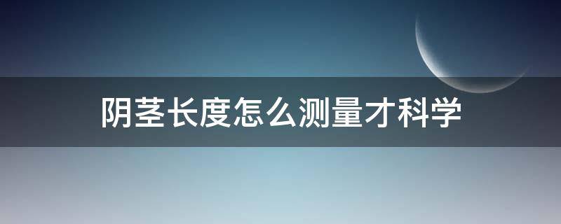 阴茎长度怎么测量才科学