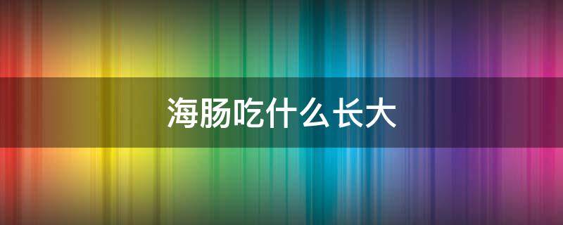 海肠吃什么长大（海肠吃啥）