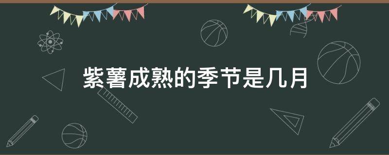 紫薯成熟的季节是几月 紫薯成熟期是什么时候