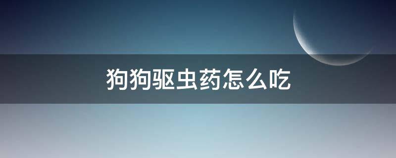 狗狗驱虫药怎么吃 狗狗驱虫药怎么吃效果好