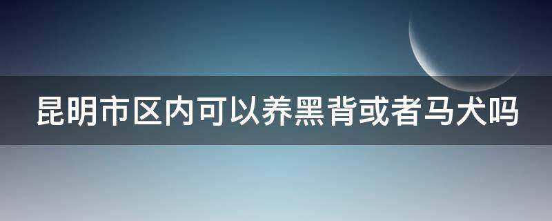 昆明市区内可以养黑背或者马犬吗（昆明允许养哪些狗）