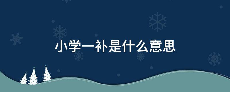 小学一补是什么意思（小学一补是500块吗）