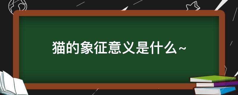 猫的象征意义是什么~ 猫的象征意义是什么意思