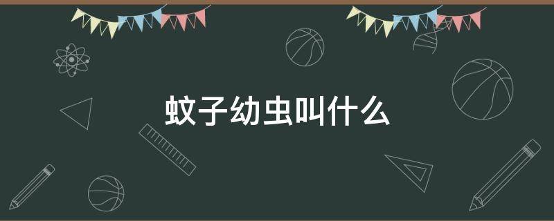 蚊子幼虫叫什么（蚊子幼虫叫什么怎么读）