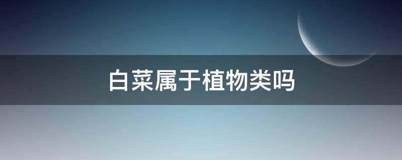 白菜属于植物类吗（白菜属于植物类吗还是蔬菜）