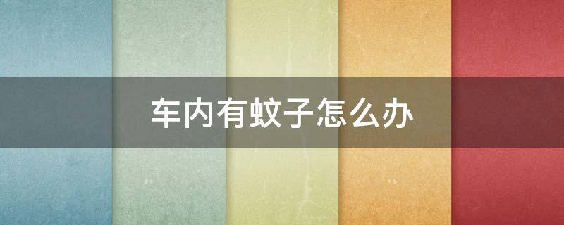 车内有蚊子怎么办（车里有蚊子怎么办最有效的方法）