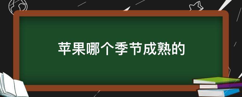 苹果哪个季节成熟的（苹果哪个季节成熟的最好吃）