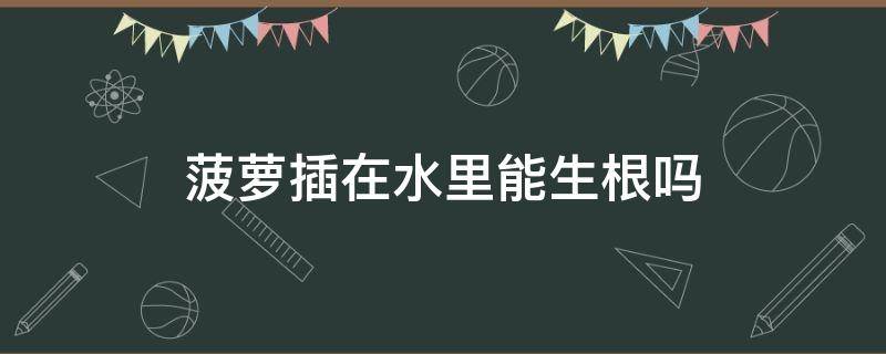 菠萝插在水里能生根吗（菠萝插水有什么作用）