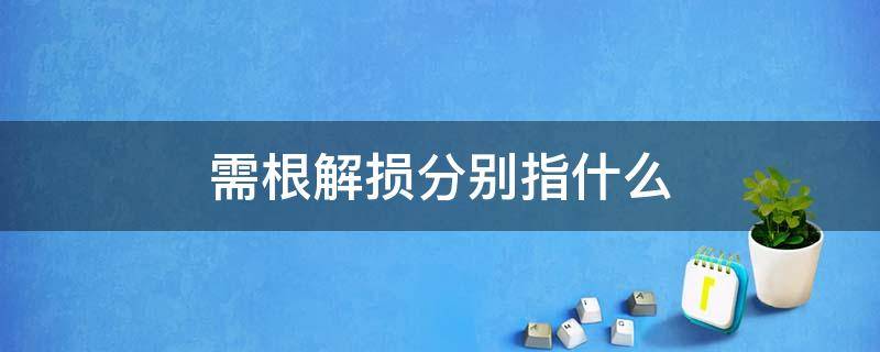 需根解损分别指什么（需根解损是什么意思）