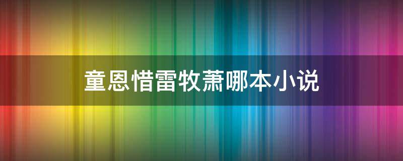 童恩惜雷牧萧哪本小说