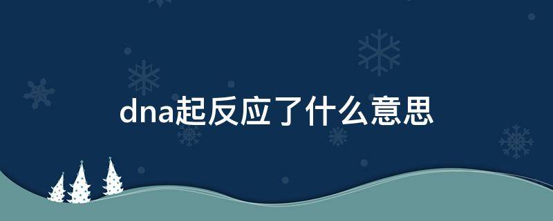 dna起反应了什么意思 dna有反应了什么意思