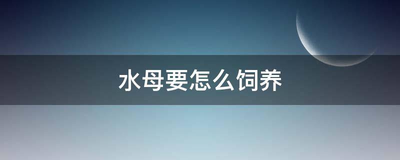 水母要怎么饲养 水母怎么饲养在水里