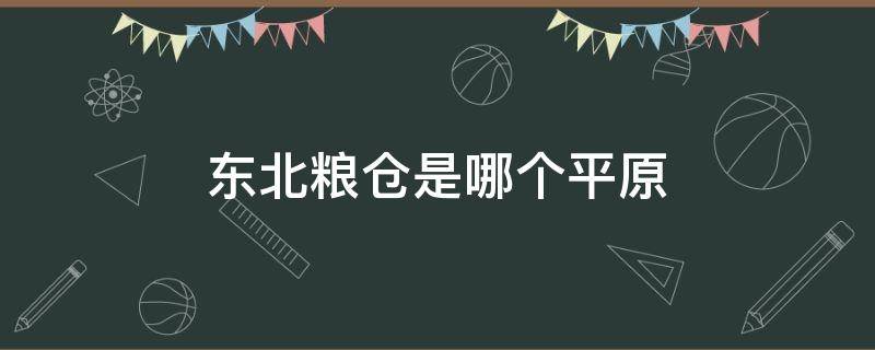 东北粮仓是哪个平原（东北粮仓是哪个平原的地方）