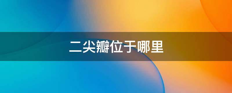 二尖瓣位于哪里 二尖瓣和三尖瓣轻度反流什么意思