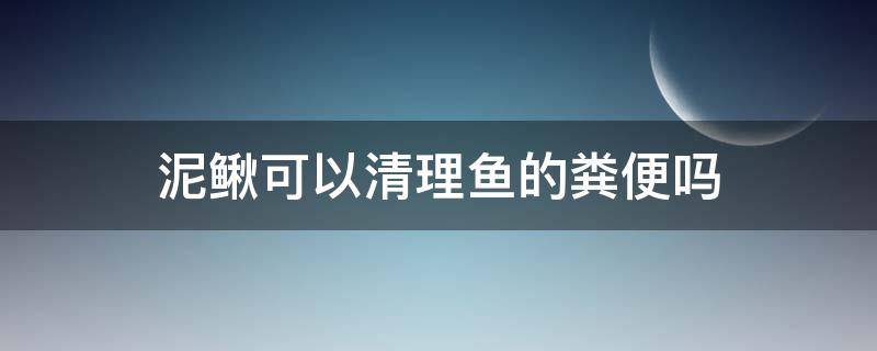 泥鳅可以清理鱼的粪便吗 泥鳅能清理鱼缸粪便吗