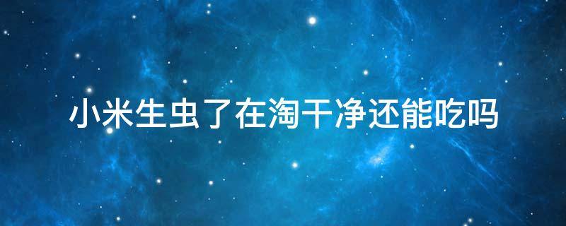 小米生虫了在淘干净还能吃吗 小米生虫后还可以吃吗