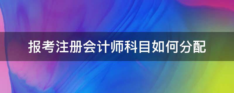 报考注册会计师科目如何分配（报考注册会计师科目如何分配时间）