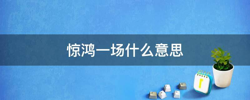 惊鸿一场什么意思（早知惊鸿一场,何必情深一往）