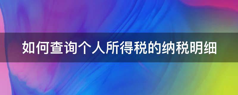 如何查询个人所得税的纳税明细（如何查询个人所得税的纳税明细记录）