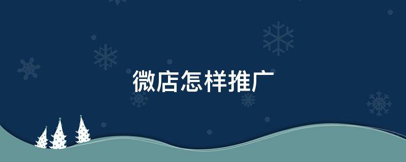微店怎样推广（微店怎样推广才能有订单）