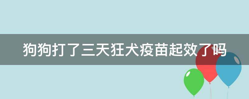 狗狗打了三天狂犬疫苗起效了吗（狗狗打了三天狂犬疫苗起效了吗视频）