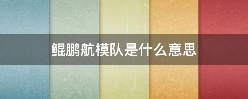 鲲鹏航模队是什么意思 鲲鹏航模队拼音怎么读