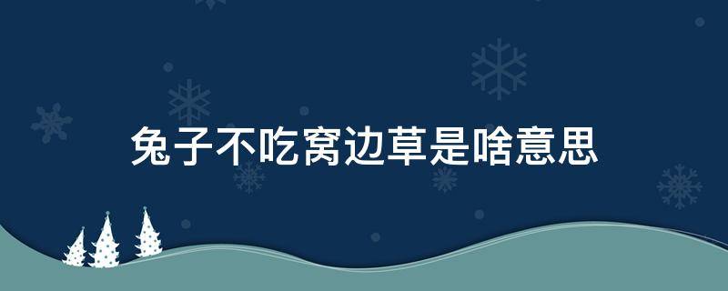 兔子不吃窝边草是啥意思 兔子不吃窝边草属于什么语