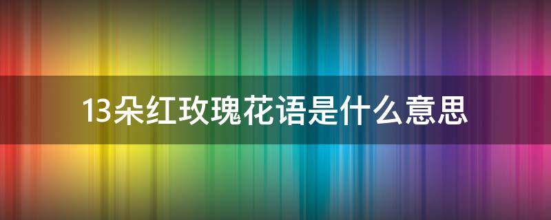 13朵红玫瑰花语是什么意思 13朵红玫瑰花语是什么意思呢图片