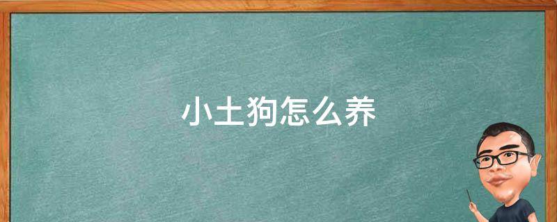 小土狗怎么养 一个月的小土狗怎么养