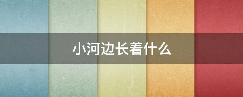 小河边长着什么（小河边长着什么样的柳树）