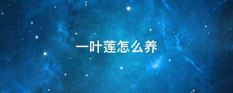 一叶莲怎么养（一叶莲怎么养护和管理）