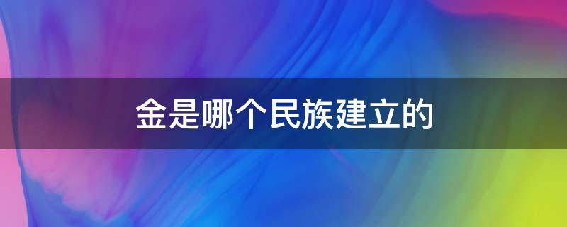 金是哪个民族建立的（元是哪个民族建立的）