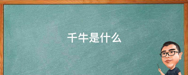 千牛是什么（千牛是什么单位）