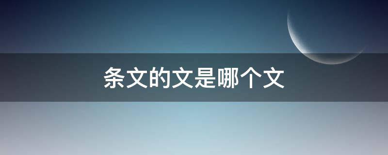 条文的文是哪个文（条文是什么意思啊）
