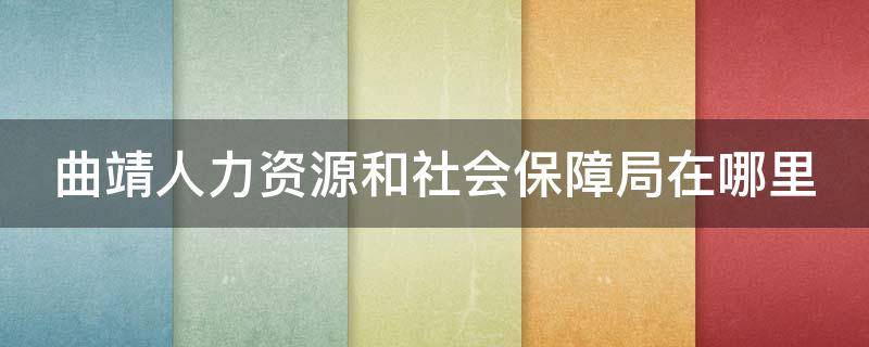 曲靖人力资源和社会保障局在哪里（曲靖人力资源和社会保障局在哪里啊）