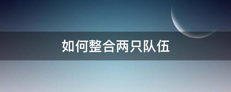 如何整合两只队伍（如何整合两只队伍工作）