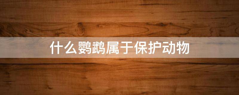 什么鹦鹉属于保护动物 什么鹦鹉属于保护动物呢
