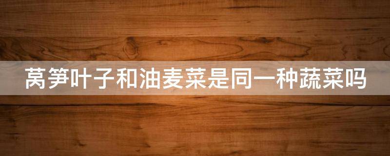莴笋叶子和油麦菜是同一种蔬菜吗 莴笋叶和油麦菜一样吗