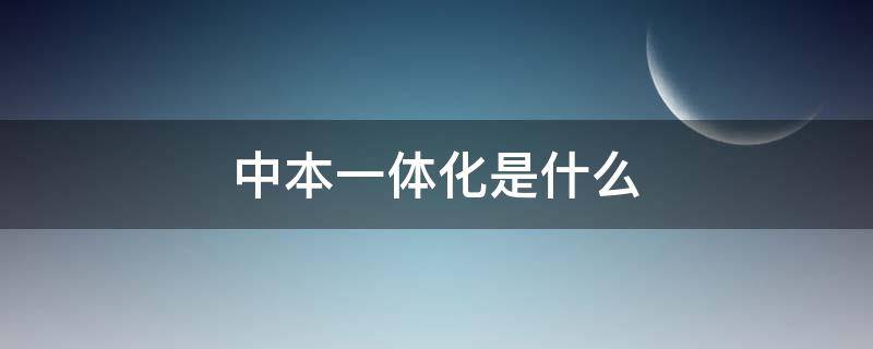 中本一体化是什么（中本一体化是什么时候开始的）