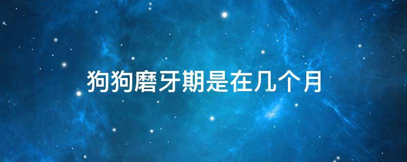 狗狗磨牙期是在几个月（狗聪不聪明看脑袋就知道）