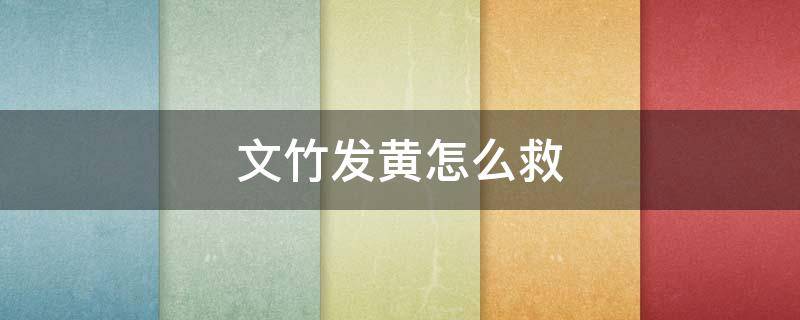 文竹发黄怎么救 文竹发黄怎么救过来