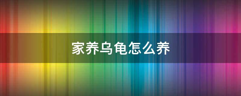 家养乌龟怎么养（家养乌龟怎么养好养）