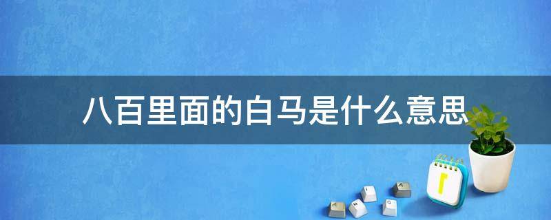 八百里面的白马是什么意思 八百里面的白马到底代表什么