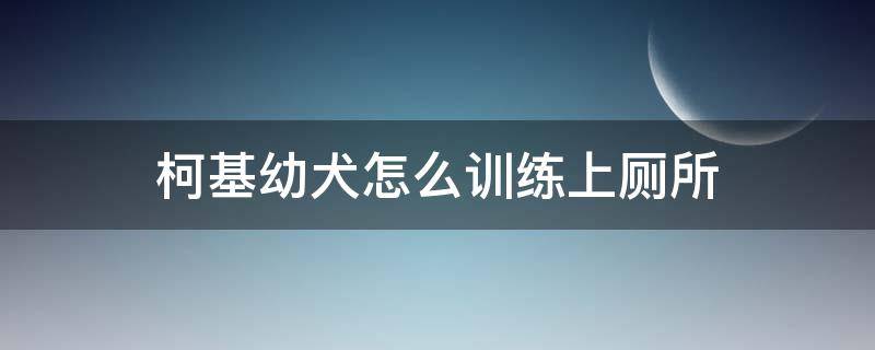 柯基幼犬怎么训练上厕所（柯基犬怎么训练大小便）